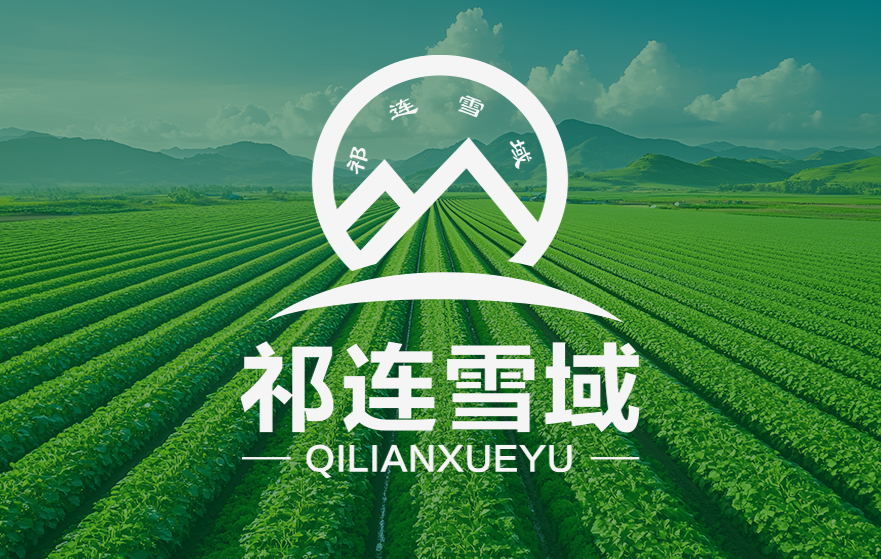 祁连雪域logo设计